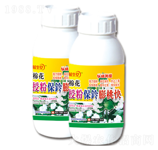 棉花授粉保鈴膨桃快 植生堂 萊利生物