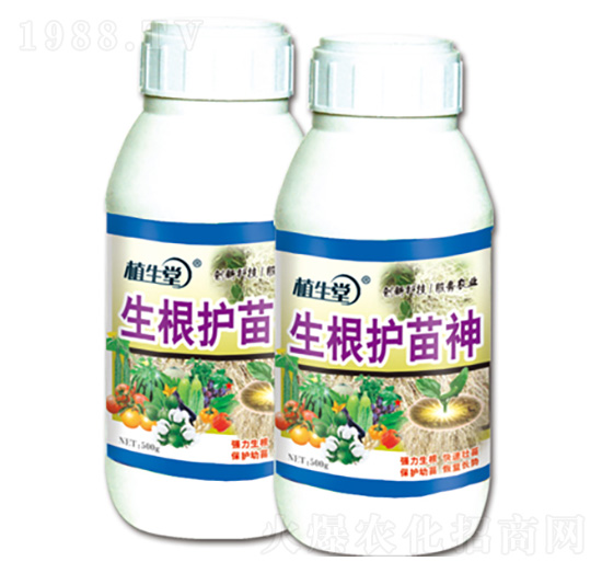 �����o���� ֲ���� �R������