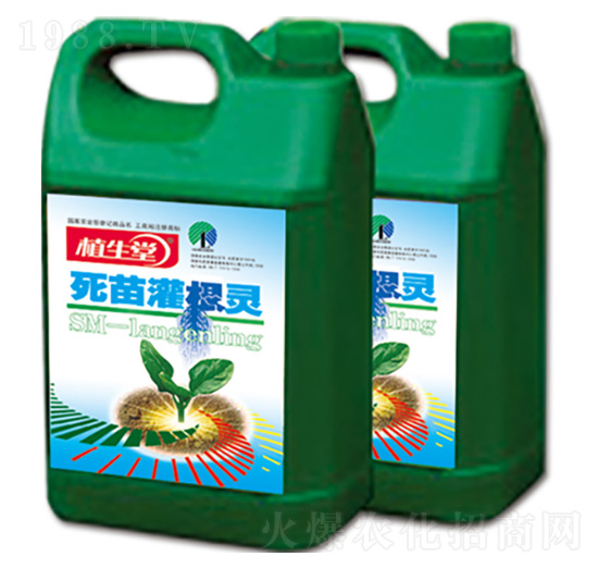 ���砀���` ֲ���� �R������