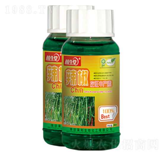 ���������S�a(ch��n)�� ֲ���� �R������