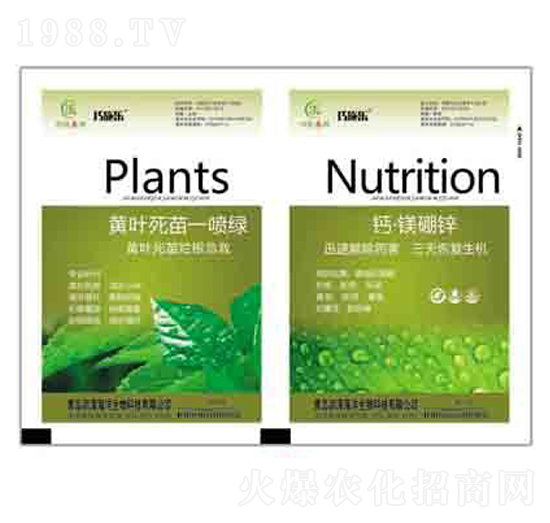 �S�~����һ���G+�}���V���\ ����