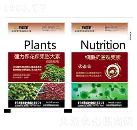 ��(qi��ng)���������������+��(x��)��������׃�� ��(r��n)��