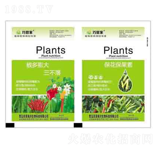 �������������+���������� ����