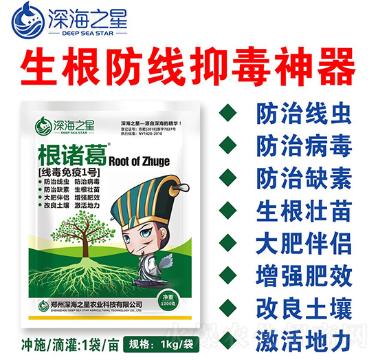線毒免疫1號-根諸葛-深海之星
