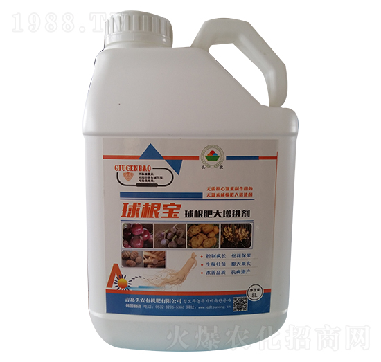 ����ʴ����M��-�����-�^�r