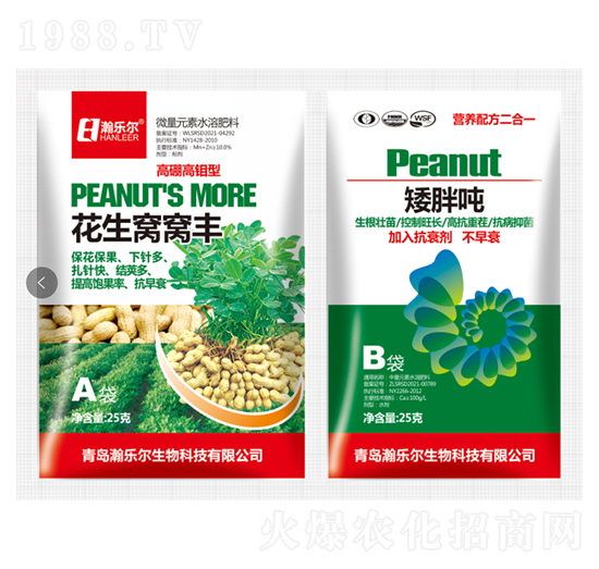 花生窩窩豐+矮胖墩 瀚樂(lè)爾