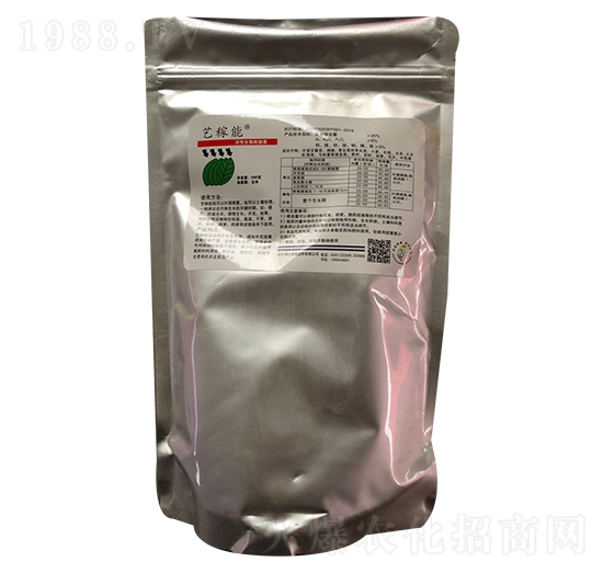 ��������̼��� ˇ���� ʥ�����