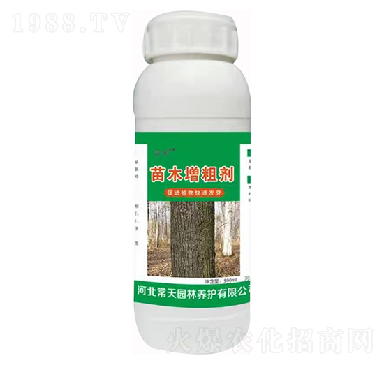 ��ľ���ք� ����