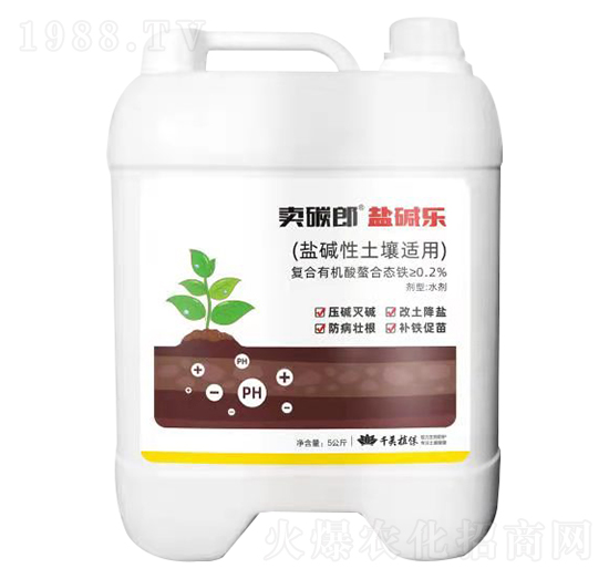 �}�A�������m���}�A��(l��) �u̼�� ǧ��ֲ��