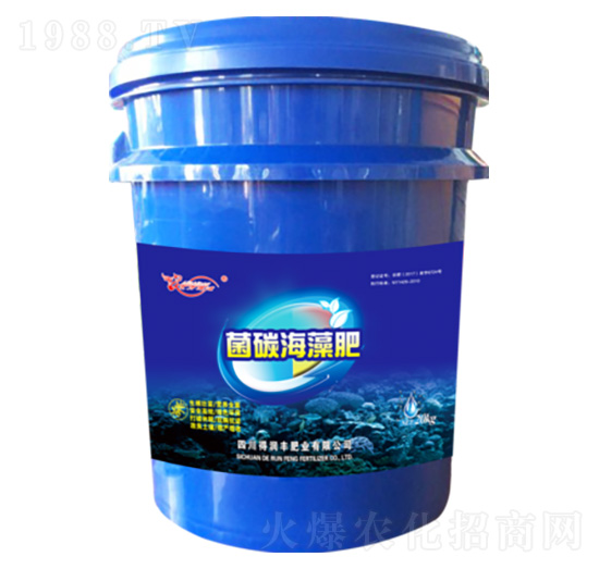 ��̼����� �Ý��S