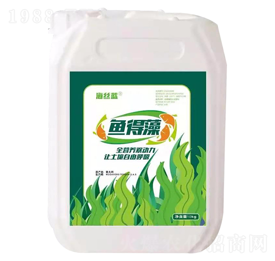 �~���� ���z�{(l��n)