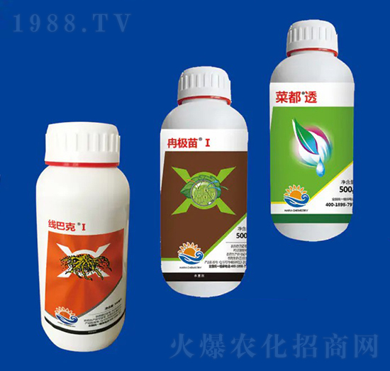 ���x�M�Ϣ� ��Ƚ���W