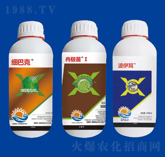 ���ýM�Ϣ� ��Ƚ���W