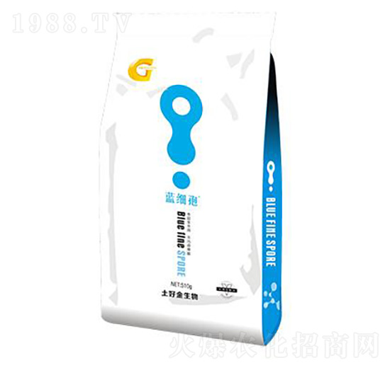 500g΢������� �{(l��n)��(x��)�� ���ý�