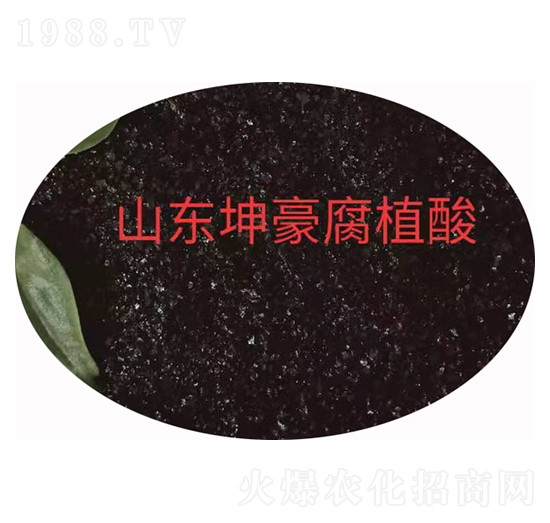 大片黃腐酸鉀 坤豪