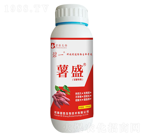 ���팣(zhu��n)�÷� ��ʢ �̄�����