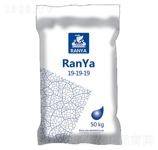 ���ۏͺϷ���19-19-19 ���ۇ��H