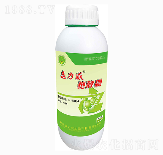 �Ǵ���-������