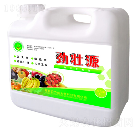 �ŉ�Դ-������