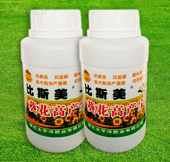 葵花高產寶-比斯美-巴姆普爾