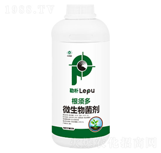 ΢�������-��횶�-���՘�