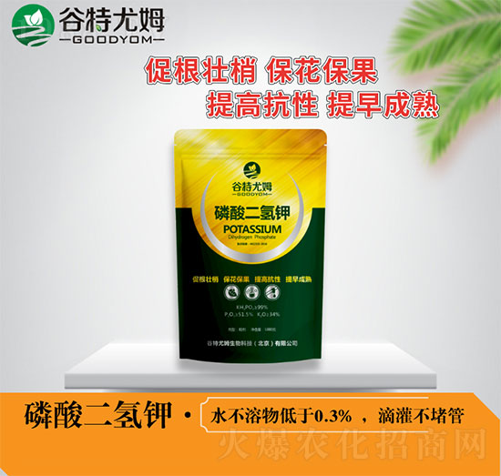 ��������-������ķ