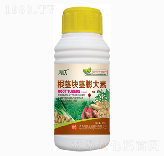 ���o�K�o�����-�����r(n��ng)��