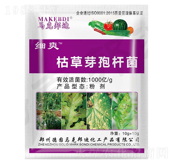 �ݲ�ѿ�ߗU��-��ˬ-�R�˰��