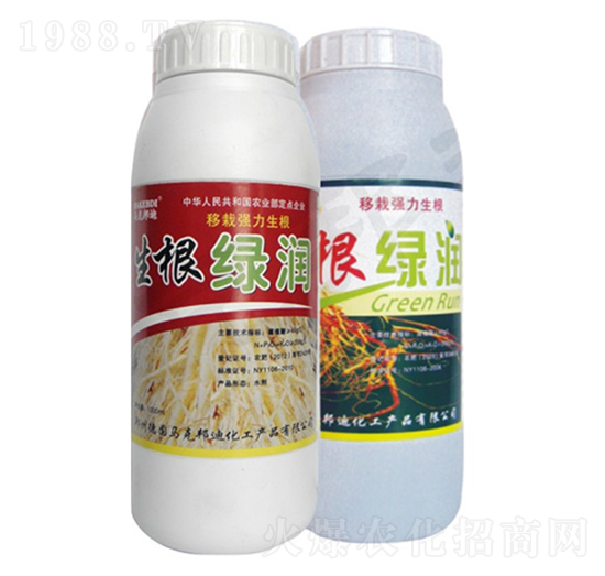 �����G��(r��n)-�R�˰��