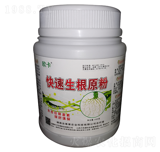 ��������ԭ�� �W��