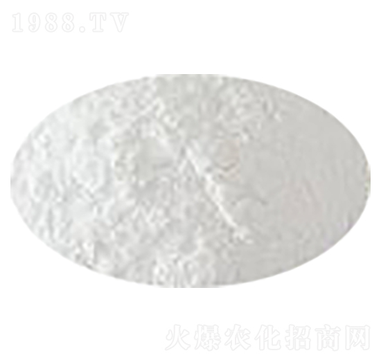 �۠�_ʩ�ʌ�(zhu��n)�÷��Y(ji��)�K�� ؐ���Z�r(n��ng)�I(y��)