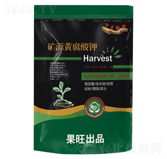 �VԴ�S�����-��������