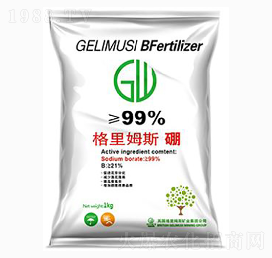 ����ķ˹��-�|���r�I(y��)