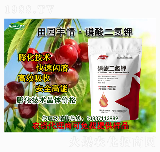 磷酸二氫鉀（膨化閃溶）-田園豐情-通力生化