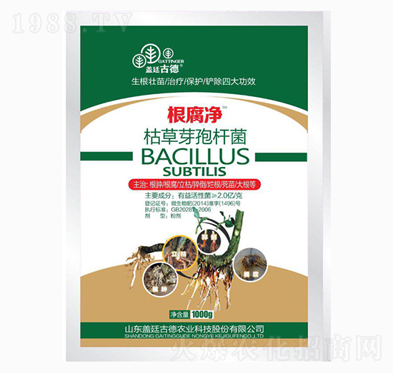 1000g�ݲ�ѿ�ߗU��-������-�_(k��i)��(y��u)�r(n��ng)�I(y��)