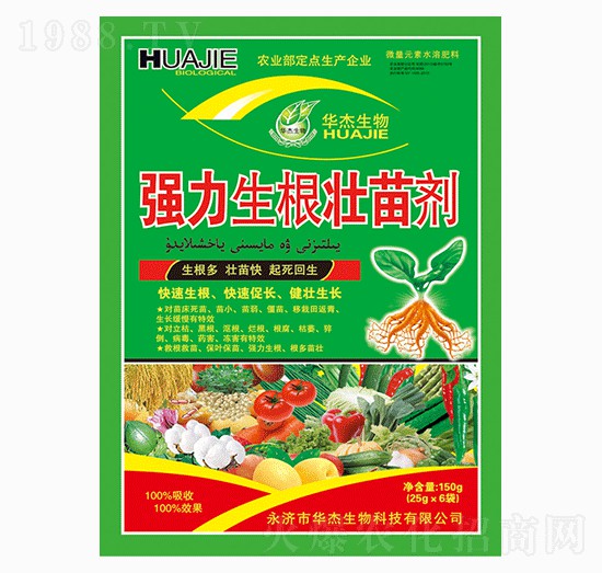 �����������焩-�A������