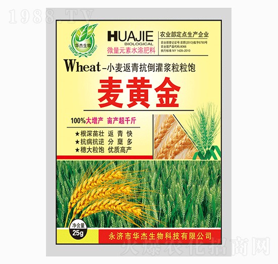 С�����࿹�����{�����-���S��-�A������