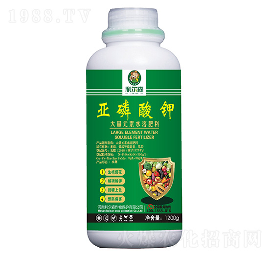 �������-����ɭ