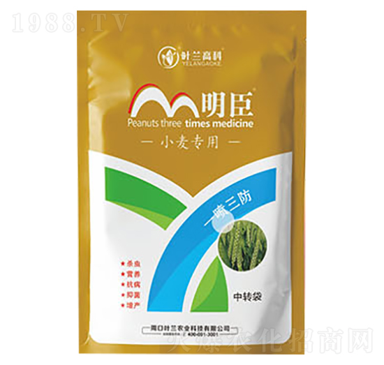 С����(zhu��n)���ײ�-����-�~�m�߿�