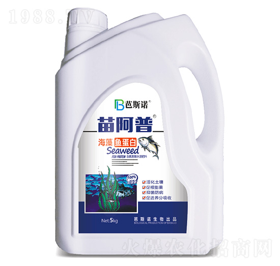 �����~����-�簢��-��˹�Z