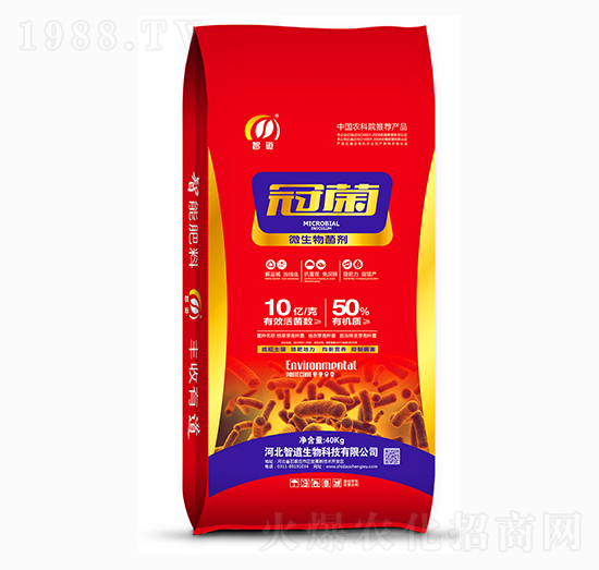 10�|΢�������-�ھ�-�ǵ�