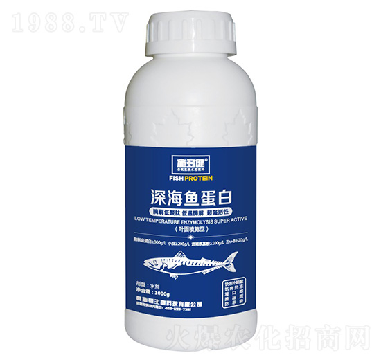 ��~(y��)����-ʩ�ཡ-�W˹�D����