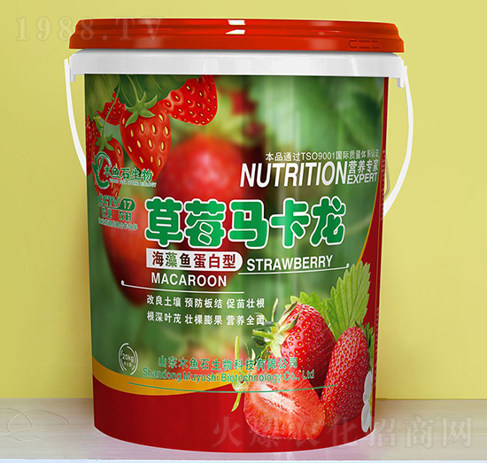 海藻魚(yú)蛋白型-草莓馬卡龍-木魚(yú)石生物