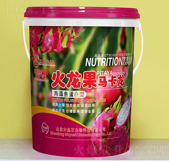 海藻魚(yú)蛋白型-火龍果馬卡龍-木魚(yú)石生物