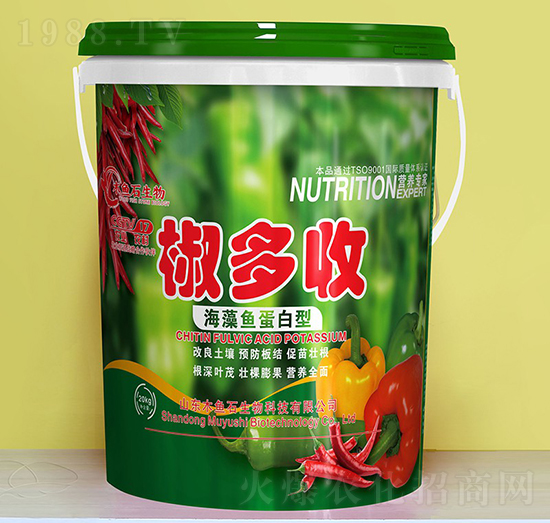 �����~������-������-ľ�~ʯ����