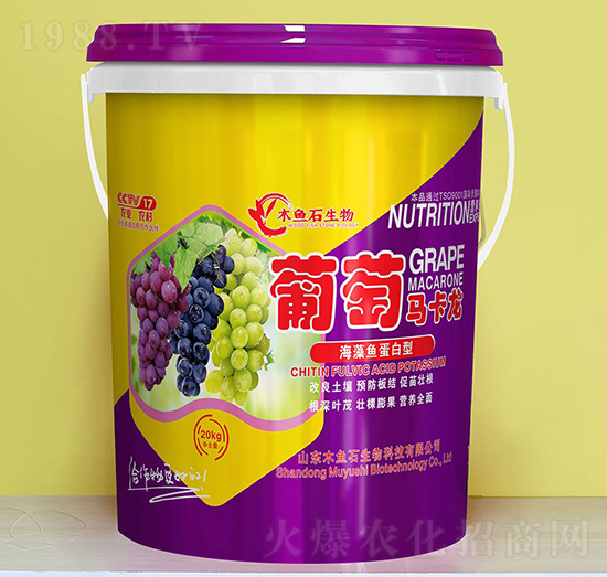 �����~������-�����R����-ľ�~ʯ����