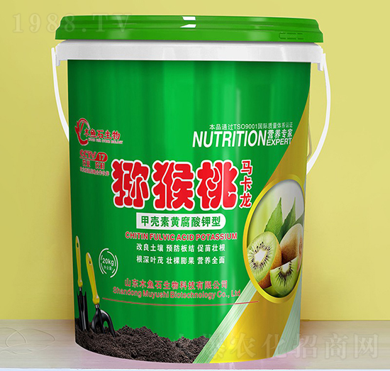 �ך����S�������-�J�����R����-ľ�~(y��)ʯ����