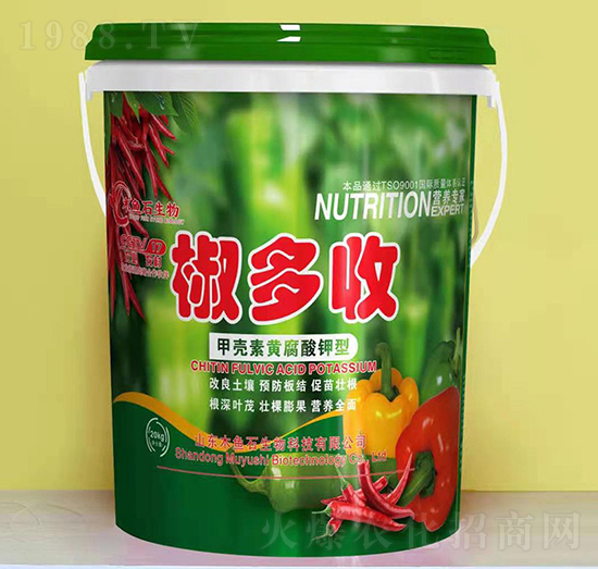 �ך����S�������-������-ľ�~ʯ����