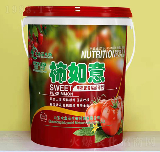 �ך����S�������-������-ľ�~(y��)ʯ����