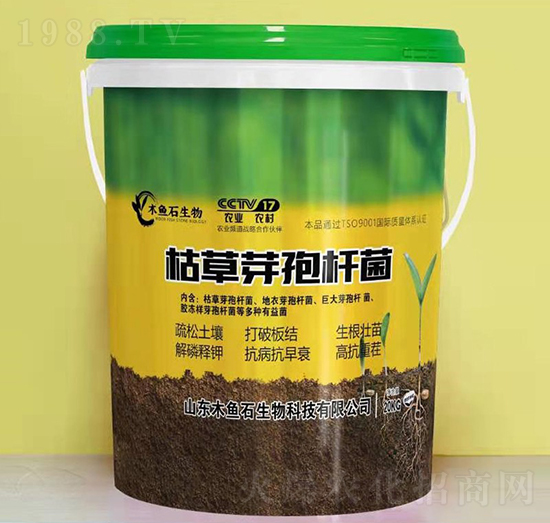 �ݲ�ѿ�ߗU��-ľ�~ʯ����